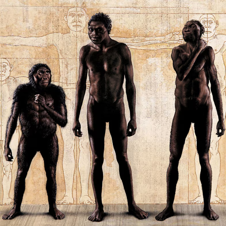 Một trong những phát hiện gây tranh cãi nhất về Homo naledi là khả năng họ đã thực hiện các hành động chôn cất.(Ảnh: ABC)