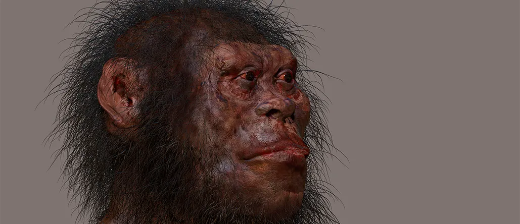 Homo naledi tuyệt chủng cách đây 300.000 năm, đồng thời với sự xuất hiện của Homo sapiens.(Ảnh: BBC Science Focus)