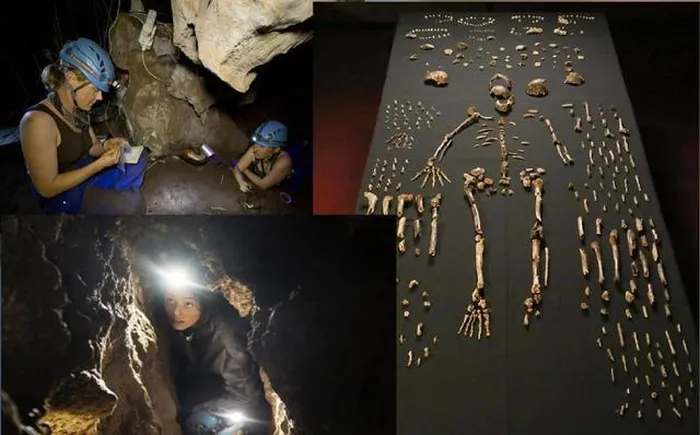 Homo naledi được phát hiện lần đầu tiên vào năm 2013 bởi các nhà thám hiểm Rick Hunter và Steven Tucker. Họ tìm thấy các hóa thạch loài người cổ này tại đáy của Buồng Dinaledi trong hệ thống hang động Rising Star. Khám phá ban đầu bao gồm 1.550 mẫu vật, đại diện cho 737 yếu tố xương cốt khác nhau của ít nhất 15 cá thể.(Ảnh: National Geographic)
