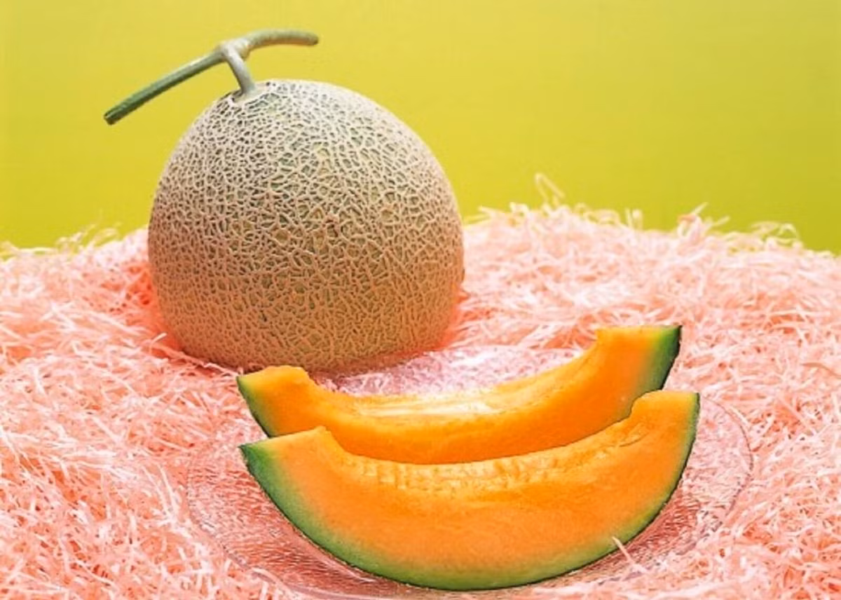 8. Dưa hoàng đế Yubari (Nhật Bản): Được coi là loại dưa đắt nhất thế giới, dưa hoàng đế Yubari có giá lên tới 23.500 USD mỗi cặp.(Ảnh: Etsy)