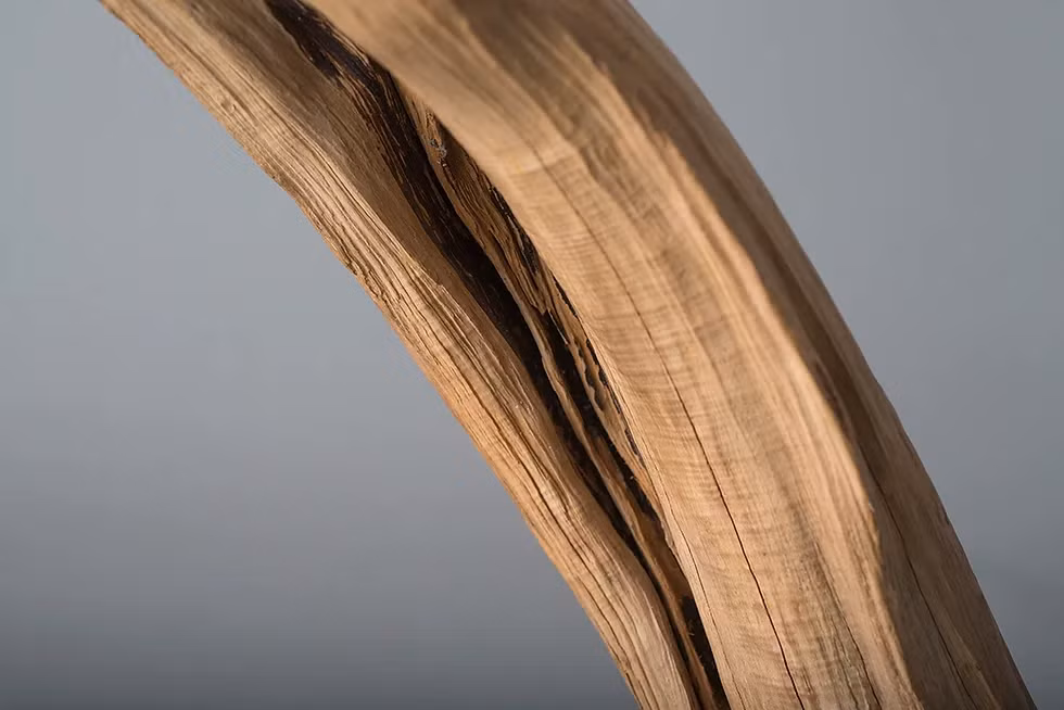 Gỗ nhai bách có 2 màu: phần vỏ gỗ trắng, phần lõi màu hồng nhạt, còn được gọi là “gỗ song sắc” hoặc “gỗ lũa nhai bách”. Thớ gỗ nhẵn mịn, vân gỗ được sắp xếp trăm nghìn lớp tinh tế, có giá trị thẩm mỹ cao. Cấu tạo gỗ chắc chắn, không bị mối mọt hay nứt nẻ trong điều kiện tự nhiên.