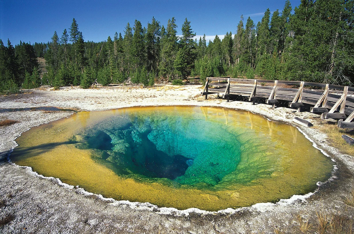 6. Công viên Quốc gia Yellowstone, Mỹ: Công viên Quốc gia Yellowstone, nằm chủ yếu ở Wyoming, là công viên quốc gia đầu tiên trên thế giới và nổi tiếng với các hiện tượng địa nhiệt như mạch nước phun Old Faithful. Với cảnh quan đa dạng từ rừng thông, đồng cỏ đến suối nước nóng, Yellowstone thu hút khoảng 4 triệu du khách mỗi năm. Du khách có thể tham gia các hoạt động như cắm trại, đi bộ đường dài và quan sát động vật hoang dã.(Ảnh: Britannica)
