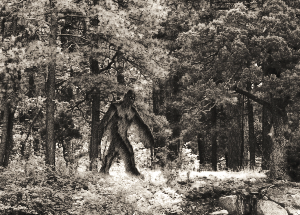 3. Làng Portlock, Alaska, Mỹ: Portlock từng là một làng chài nhộn nhịp ở Alaska, nhưng từ những năm 1940, cư dân bắt đầu rời bỏ ngôi làng sau hàng loạt vụ mất tích bí ẩn và những vụ giết người dã man. Theo truyền thuyết địa phương, một sinh vật kỳ lạ, được gọi là "Nantinaq", đã gây ra những vụ việc này. Ngày nay, Portlock là một ngôi làng hoang tàn, bao quanh bởi những câu chuyện rùng rợn về sự hiện diện của quái vật.