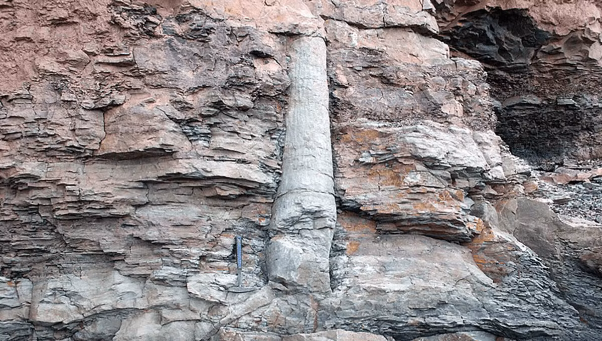 4. Tảng đá Baigong Pipes: Tại tỉnh Thanh Hải, Trung Quốc, các nhà khảo cổ học phát hiện những ống kim loại cổ xưa cắm sâu vào tảng đá, được gọi là Baigong Pipes. Các ống này có niên đại hàng ngàn năm và được tìm thấy ở một khu vực hẻo lánh, xa xôi. Điều kỳ lạ là những ống này có cấu trúc phức tạp, không rõ mục đích và nguồn gốc của chúng. Cho đến nay, không có giả thuyết nào đủ sức thuyết phục để giải thích hiện tượng này.(Ảnh: IFLScience)