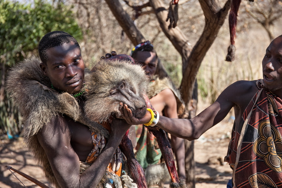 Khi phụ nữ Hadza bắt đầu cho con bú, thời gian dành cho hoạt động hái lượm và trồng trọt giảm xuống, và nam giới trở thành nguồn cung cấp thức ăn cho họ. (Ảnh: AFRICA)