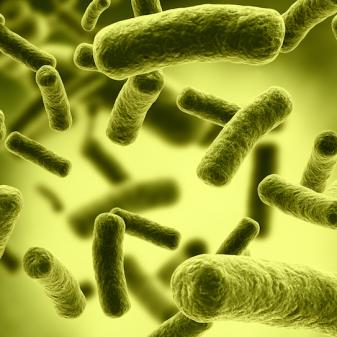 Các chính phủ trên thế giới cũng đã thắt chặt các biện pháp kiểm soát an ninh sinh học để ngăn chặn việc sử dụng Botulinum H vào các mục đích bất chính. Các chuyên gia y tế và an ninh đang hợp tác chặt chẽ để đảm bảo rằng các thông tin về chất độc này được bảo mật và chỉ được sử dụng cho mục đích nghiên cứu khoa học có lợi cho con người.(Ảnh:kt-biotech)