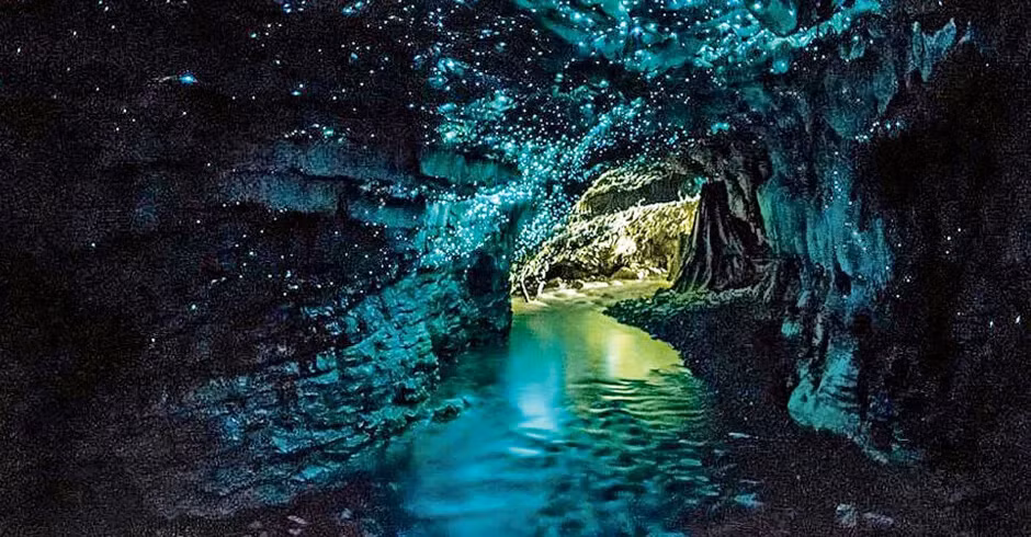 4. Hang động Waitomo Glowworm - New Zealand: Khác biệt với những hang động biển thông thường, Waitomo Glowworm nổi tiếng với hàng ngàn con đom đóm phát sáng, tạo ra một bầu trời sao nhân tạo ngay trong lòng đất. Mặc dù không phải là một hang động biển thực sự, nhưng với hệ thống sông ngầm bên trong, Waitomo mang đến một trải nghiệm kỳ diệu không thể bỏ qua khi du lịch New Zealand.(Ảnh: geologyscience)