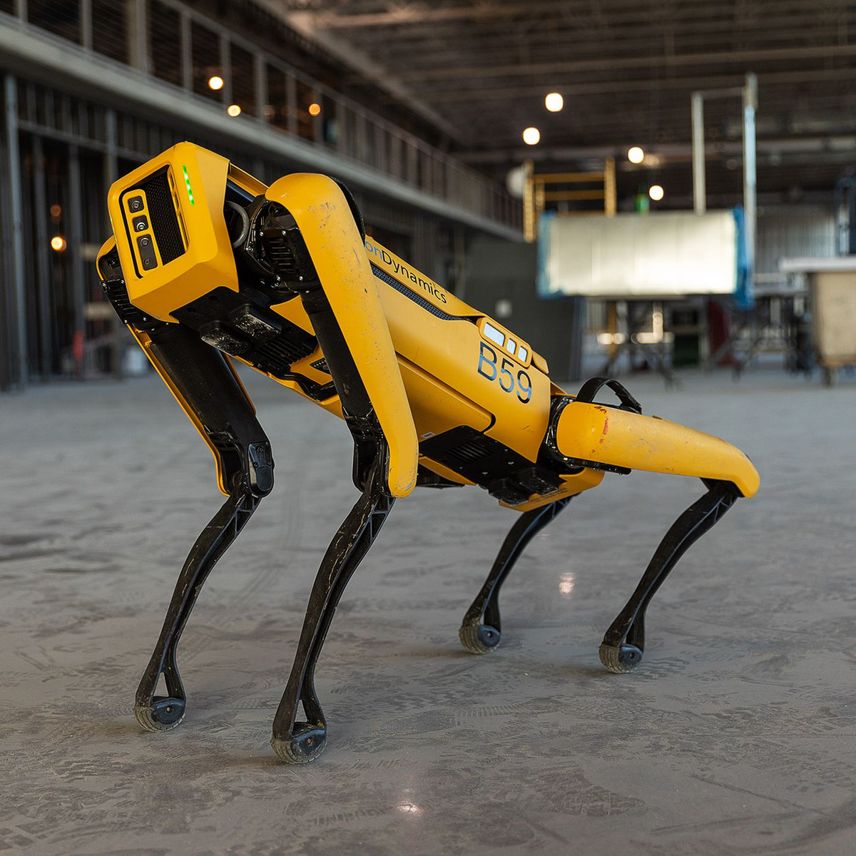 5. Spot là một robot hình thú bốn chân, cũng đến từ Boston Dynamics, nổi bật với khả năng di chuyển linh hoạt trên mọi địa hình. Được trang bị cảm biến và camera, Spot có thể tự động di chuyển qua các môi trường phức tạp, tránh chướng ngại vật và thực hiện các nhiệm vụ khảo sát, kiểm tra an ninh và vận chuyển hàng hóa. Spot đã được sử dụng trong các lĩnh vực như xây dựng, khai thác mỏ, và thậm chí là trong quân sự, thể hiện tiềm năng lớn của robot trong các ngành công nghiệp đa dạng.(Ảnh:The Verge)