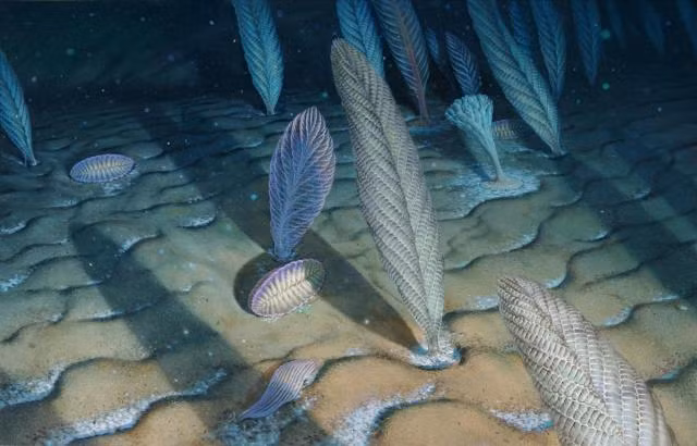 Tuy nhiên, sự cô lập của vùng biển này khiến hệ sinh thái không thể lan rộng hoặc tiếp tục tiến hóa, bỏ lỡ cơ hội tiến hóa trong 1,5 tỷ năm tiếp theo. (Ảnh:Yahoo News UK)