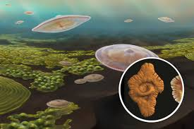 Những phát hiện này, được công bố trên tạp chí Precambrian Research, đã làm sáng tỏ một phần lịch sử tiến hóa của Trái Đất và mở ra nhiều câu hỏi mới về quá trình tiến hóa phức tạp và đa dạng trên hành tinh của chúng ta. (Ảnh:South Wales Argus)