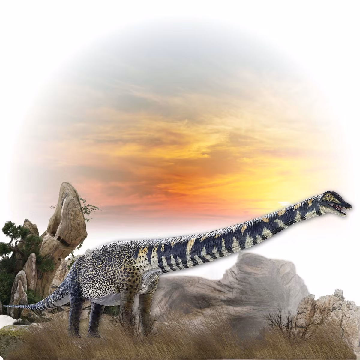 Nhóm nghiên cứu đã sử dụng công nghệ 3D để tạo ra mô hình bộ xương của Australotitan và so sánh nó với các loài khủng long khác như Diamantinasaurus, Savannasaurus và Wintonotitan. Kết quả cho thấy Australotitan có quan hệ mật thiết với ba loài này, nhưng có kích thước lớn hơn đáng kể. (Ảnh: Natureworks Australia)