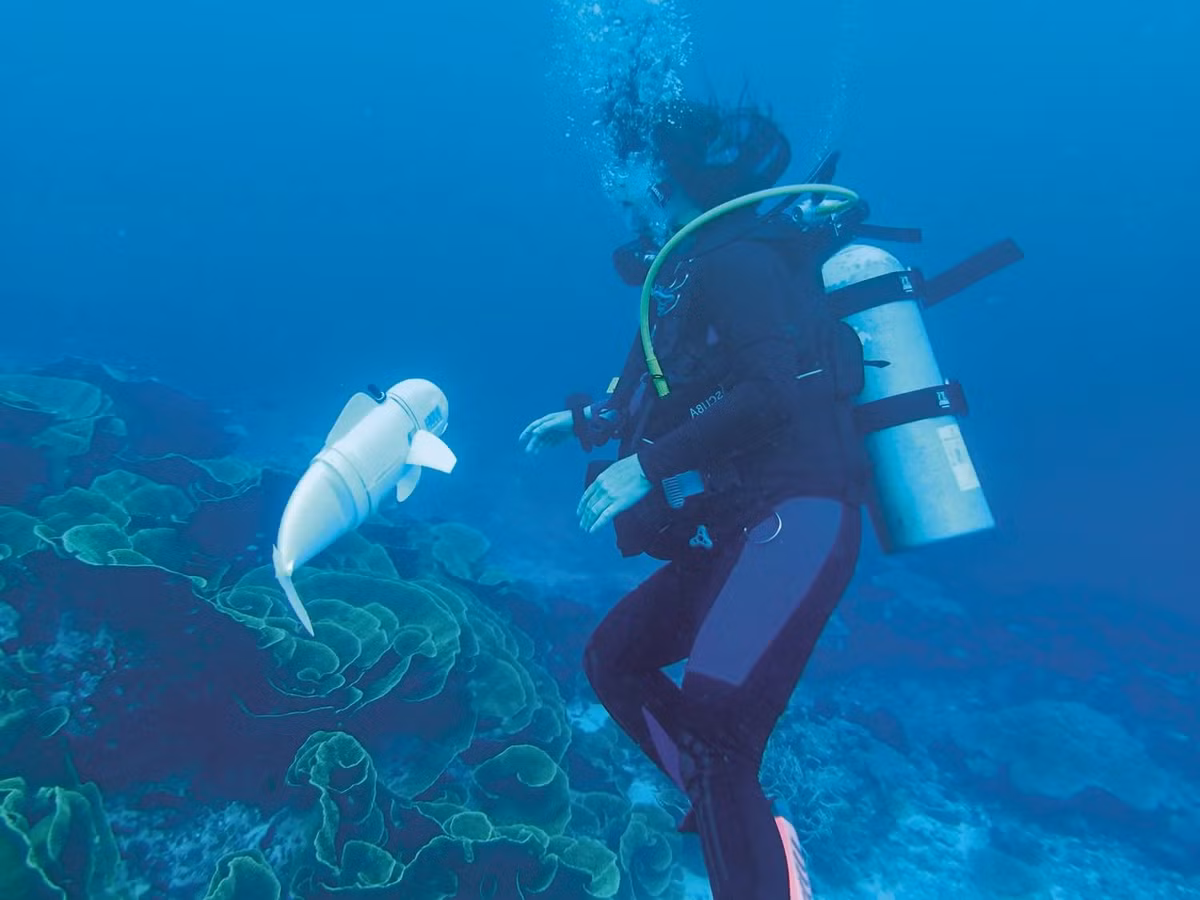 Eve không chỉ là một công cụ nghiên cứu mà còn là một bước tiến lớn trong việc bảo vệ môi trường. Các hạt eDNA mà Eve thu thập được sẽ được gửi đến phòng thí nghiệm để giải trình tự, giúp các nhà khoa học xác định các loài sinh vật sống trong vùng nước. Điều này đặc biệt quan trọng trong bối cảnh biến đổi khí hậu và các hoạt động của con người đang đe dọa môi trường sống của đại dương.(Ảnh:X)