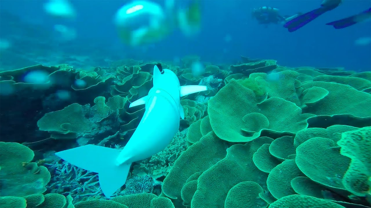 Ngoài ra, Eve còn được trang bị camera dưới nước và kỹ thuật sonar để tránh chướng ngại vật, cùng với bộ lọc để thu thập DNA từ môi trường, gọi là eDNA.(Ảnh: ETH Zürich)