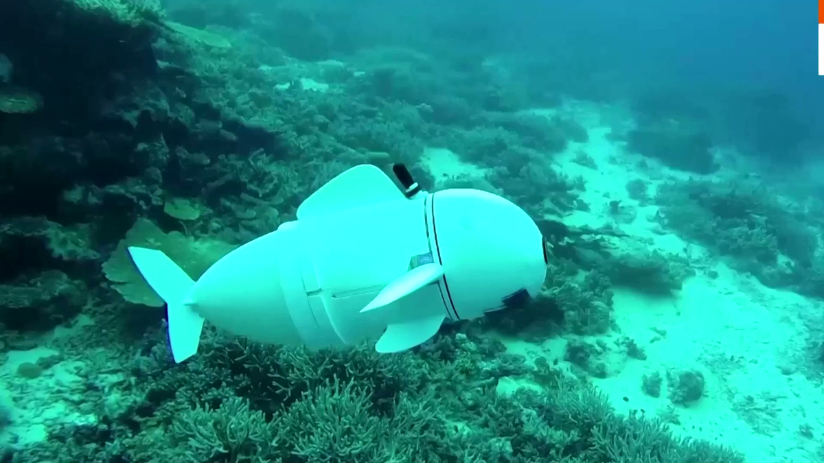 Nhóm nghiên cứu tại ETH Zurich hy vọng rằng Eve sẽ cung cấp cho các nhà khoa học một bức tranh chi tiết hơn về đại dương và những sinh vật sống trong đó.