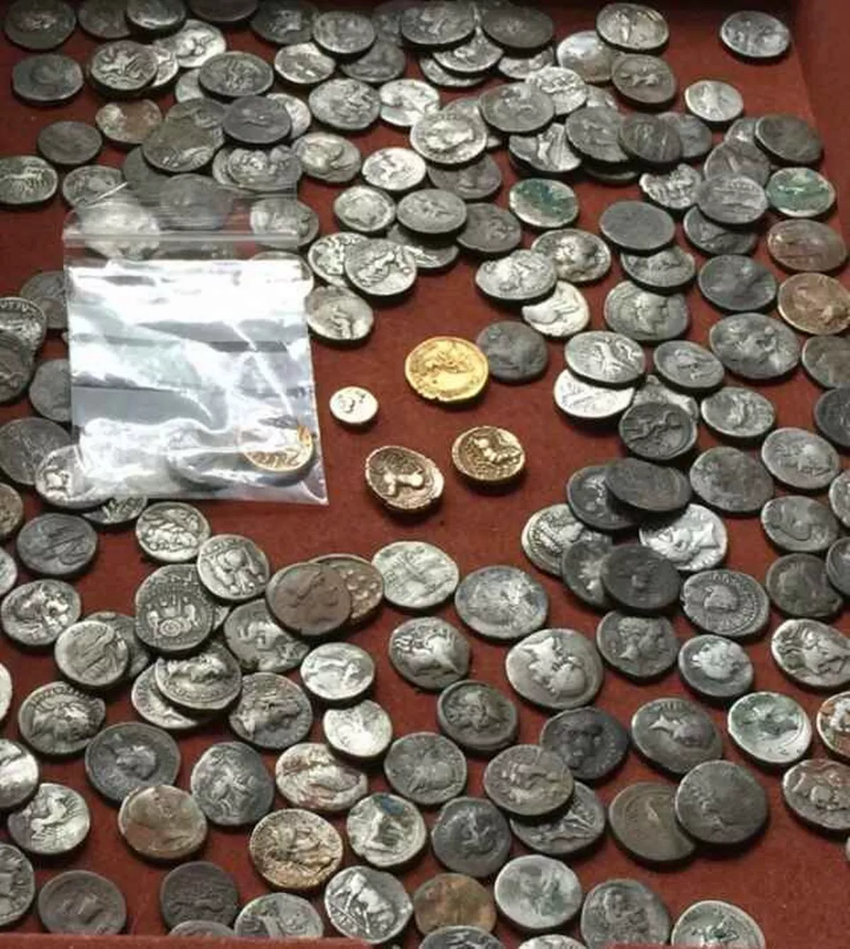 Kết quả là anh phát hiện 725 đồng tiền cổ từ thời La Mã và thời kỳ đồ sắt, bao gồm các đồng tiền bạc khắc hình Julius Caesar và một đồng tiền vàng quý hiếm. (Ảnh:suffolklive)