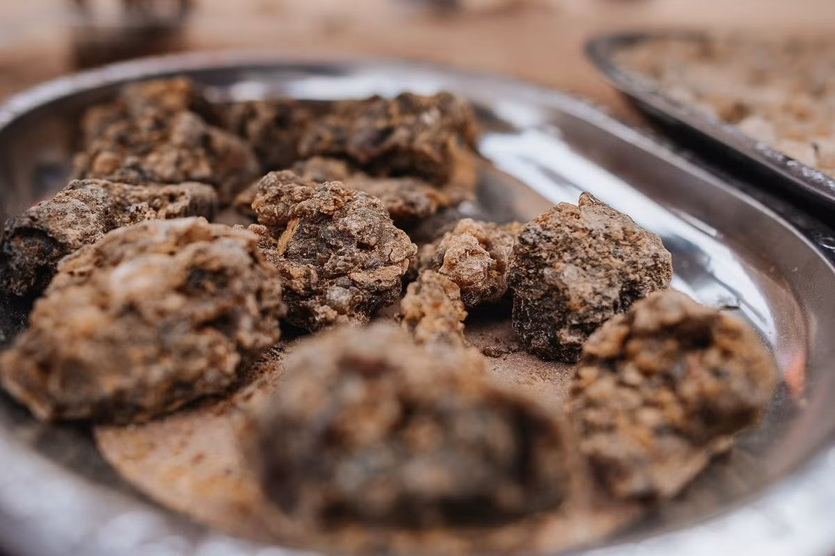 Ngoài ra, long diên hương còn được sử dụng để tạo hương vị cho sô cô la nóng và cà phê Thổ Nhĩ Kỳ ở châu Âu vào thế kỷ 18.(Ảnh:Wikiparfum)