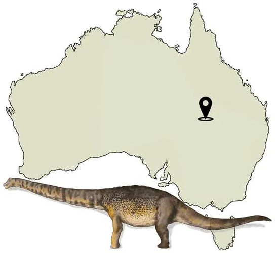 Loài khủng long này được phát hiện tại khu vực Cooper Creek, Tây Nam bang Queensland, và thuộc họ titanosaur, một nhóm khủng long ăn cỏ có đầu nhỏ và thân hình to lớn, tồn tại cách đây khoảng 100 triệu năm. (Ảnh: Australian Age of Dinosaurs)