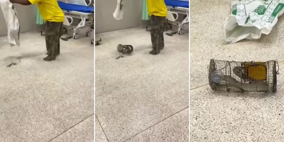 Khi đến phòng cấp cứu, người đàn ông đã ném con " quái thú" trong lồng xuống sàn, gây kinh hoàng cho nhân viên y tế. Các bác sĩ cảnh báo việc tự bắt rắn có thể dẫn đến thương tích nghiêm trọng và khuyến cáo không nên mang rắn vào bệnh viện do nguy cơ gây nguy hiểm và làm chậm trễ việc điều trị cho các bệnh nhân khác.