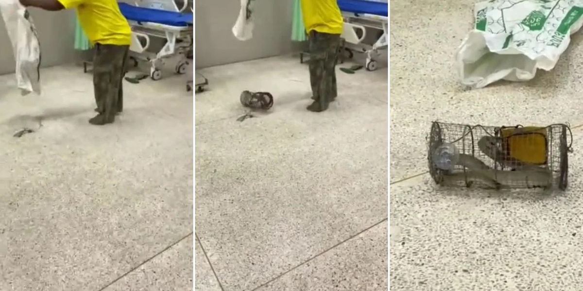 Khi đến phòng cấp cứu, người đàn ông đã ném con " quái thú" trong lồng xuống sàn, gây kinh hoàng cho nhân viên y tế. Các bác sĩ cảnh báo việc tự bắt rắn có thể dẫn đến thương tích nghiêm trọng và khuyến cáo không nên mang rắn vào bệnh viện do nguy cơ gây nguy hiểm và làm chậm trễ việc điều trị cho các bệnh nhân khác.