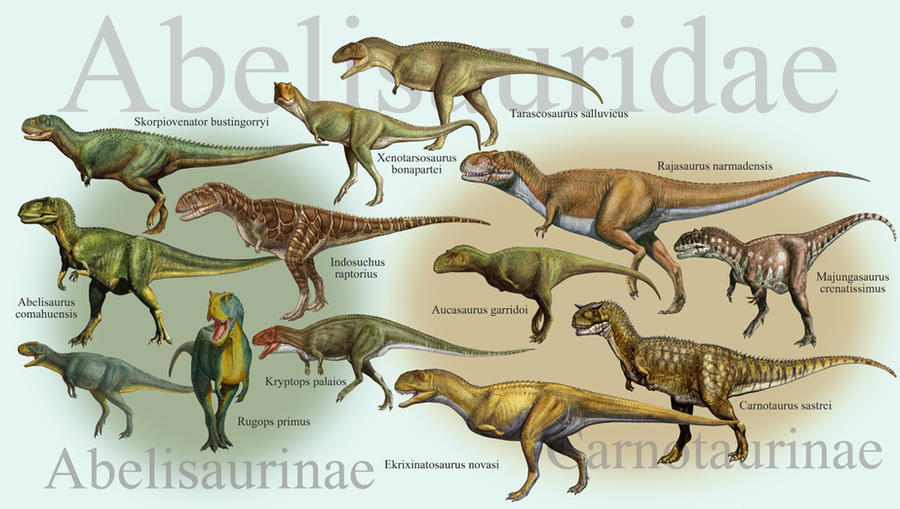 Abelisauridae có hình dáng giống hình lưỡi liềm, với chân sau cổ tích hợp và chiều dài đầu ngắn.