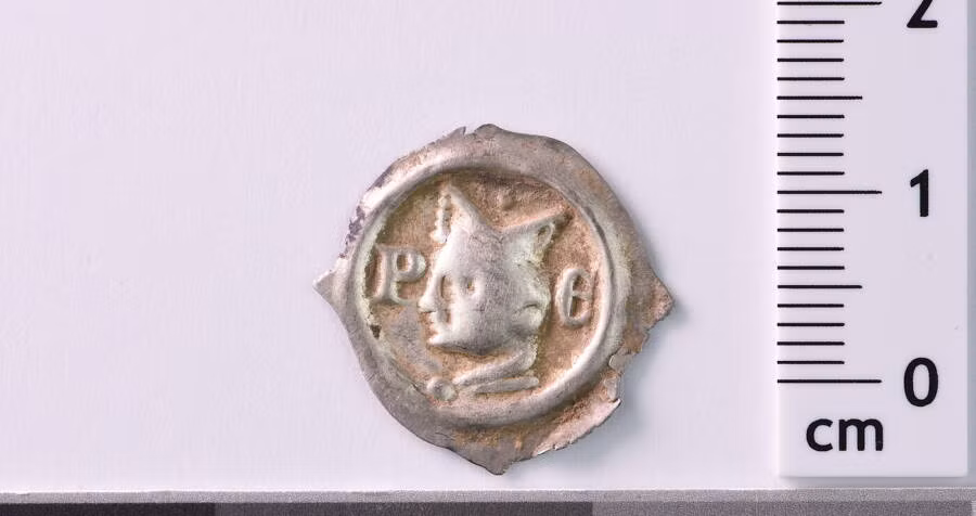 Các đồng tiền này mang lại manh mối quan trọng về hoạt động khai thác mỏ và đúc tiền tại khu vực này cách đây 650 năm