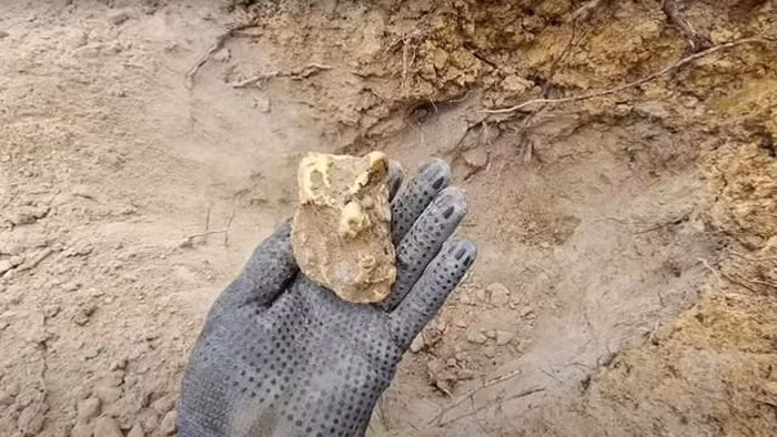 Một người đàn ông Úc, Luke Phillips, đã tìm thấy một cục vàng trị giá khoảng 2,5 tỷ đồng (100.000 USD) dưới một khúc gỗ mục nát tại Ballarat. (Ảnh: YouTube - Dig It Detecting)