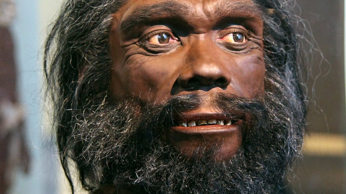 Những hóa thạch và bằng chứng di truyền cho thấy tổ tiên của chúng ta đã tiến hóa từ Homo heidelbergensis hoặc một loài tương tự, rồi di cư ra khỏi châu Phi và dần thay thế các quần thể người cổ xưa trên khắp thế giới.(Ảnh: World History Encyclopedia)