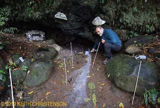 Tương tự, ở Costa Rica, một hang động mang một vẻ ngoài vô hại nhưng thực tế lại chứa đầy khí carbon dioxide (CO2) độc hại. Bất kỳ sinh vật nào bước vào hang đều có nguy cơ tử vong ngay lập tức do sự thiếu hụt oxy và nồng độ CO2 cao. (Ảnh: tropicalbats)