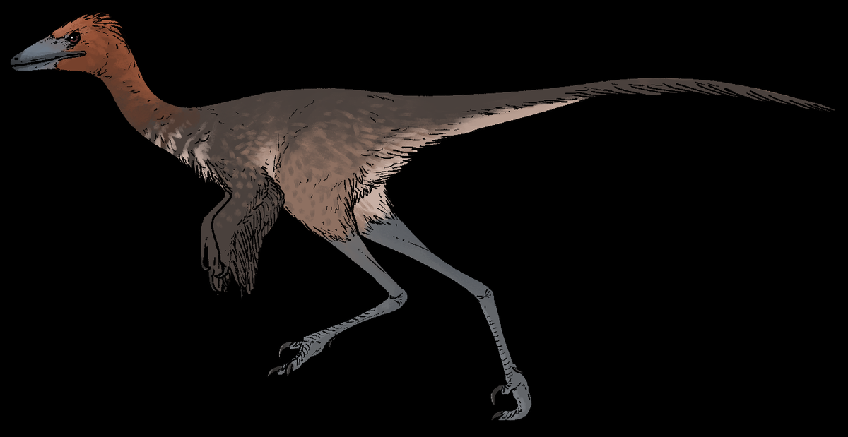 Đặc biệt, mẫu vật này được phát hiện bởi một nhóm thợ săn hóa thạch nghiệp dư vào tháng 9/2010, trong quá trình xây dựng Công viên Trung tâm Namikimichi của tỉnh Hyogo. (Ảnh: Wikimedia Commons)