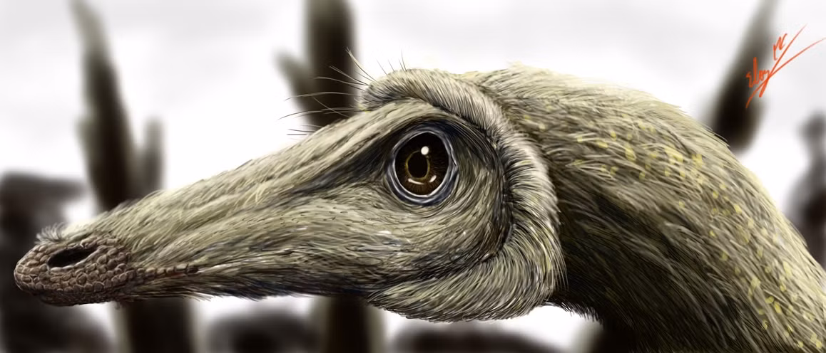 Phát hiện này không chỉ mở rộng hiểu biết của chúng ta về sự đa dạng của họ Troodontidae mà còn cung cấp cái nhìn sâu sắc về sự tiến hóa sớm của nhóm này. Hypnovenator được xác định là một trong những thành viên cổ nhất và cơ bản nhất của phân họ Troodontinae, tạo thành một nhánh với loài Gobivenator mongoliensis. (Ảnh: A Dinosaur A Day)