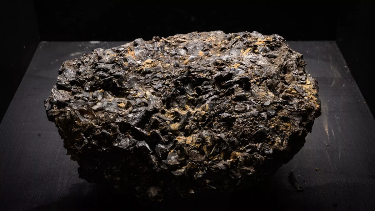 Khối long diên hương có giá trị cao, lên tới 30.000 bảng Anh (gần 1 tỷ đồng) cho mỗi kg. Nó được coi là “vàng nổi” vì là nguyên liệu quý hiếm cho ngành sản xuất nước hoa, có tác dụng cố định mùi hương trên da người. Các hãng nước hoa cao cấp như Chanel và Lanvin thường sử dụng nguyên liệu này. (Ảnh:Newsweek)