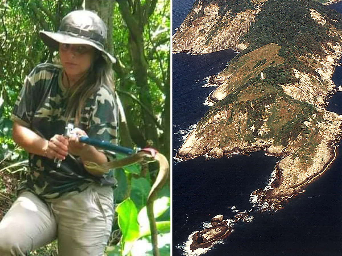 Chỉ có các nhà khoa học được phép đến đây để nghiên cứu, và họ cũng phải cực kỳ cẩn trọng. Vết cắn của loài rắn này có thể gây chết người trong vòng chưa đầy một giờ.(Ảnh: Newsweek)