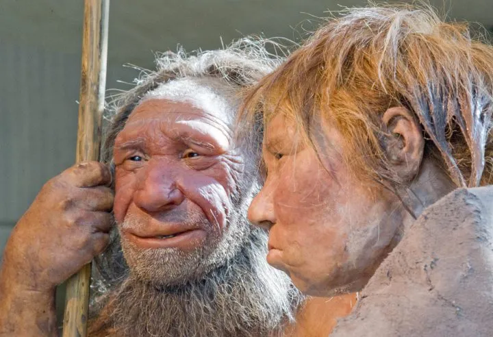 Người Neanderthal và Denisovan là hai loài người cổ xưa, có quan hệ họ hàng gần gũi với nhau.