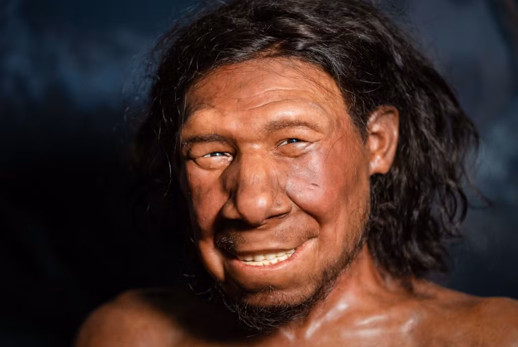 Người Neanderthal sống tại châu Âu, Tây Nam Á, Uzbekistan và dãy núi Altay, khoảng từ Canh Tân giữa tới Canh Tân muộn, tức là từ 0.43 triệu đến 0.04 triệu năm trước đây.
