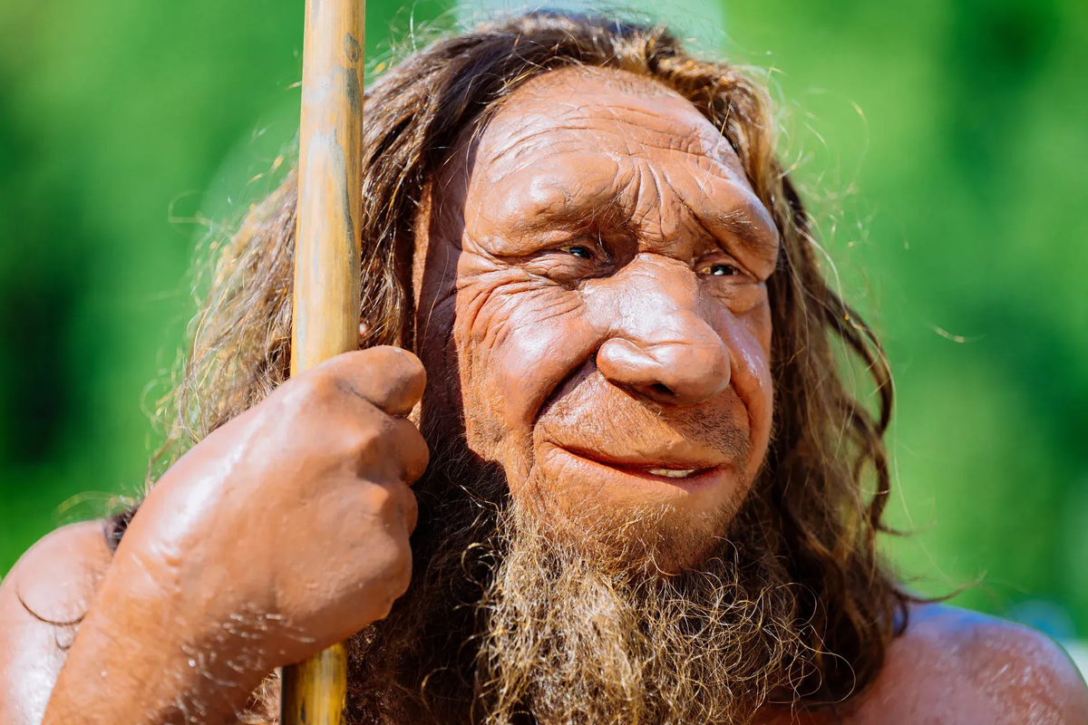 Người Neanderthal tuyệt chủng khoảng hơn 30.000 năm trước. Nguyên nhân tuyệt chủng vẫn đang tranh cãi, có thể liên quan đến cỡ quần thể nhỏ, giao phối cận huyết, và biến động ngẫu nhiên.