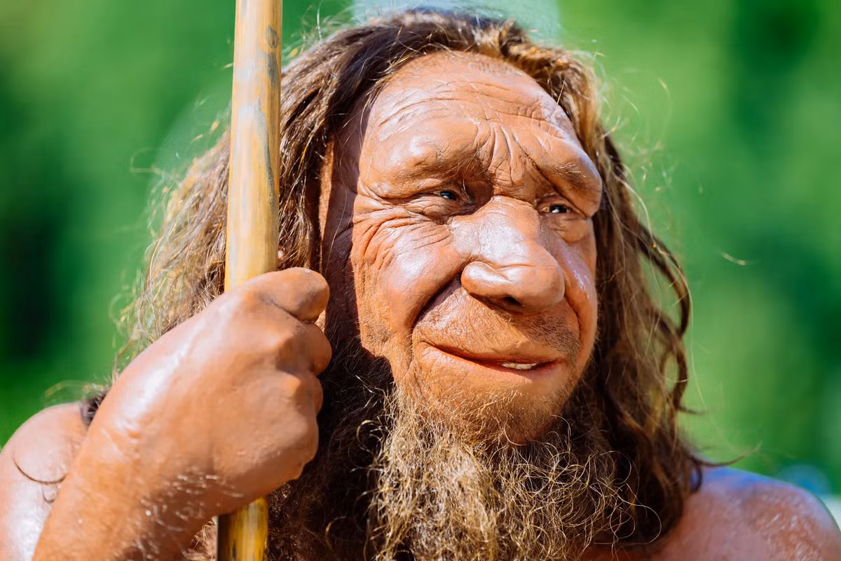Người Neanderthal tuyệt chủng khoảng hơn 30.000 năm trước. Nguyên nhân tuyệt chủng vẫn đang tranh cãi, có thể liên quan đến cỡ quần thể nhỏ, giao phối cận huyết, và biến động ngẫu nhiên.