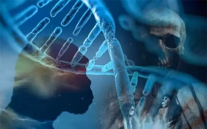 Các nhà khoa học đã phát hiện ra sự tồn tại của một loài người bí ẩn, được gọi là " loài người ma", thông qua DNA, nhưng vẫn chưa tìm thấy hài cốt hay bằng chứng vật lý về họ.