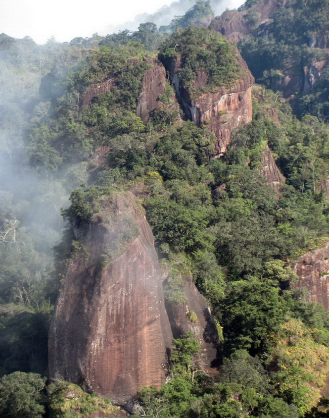 Loài thông này mọc ở độ cao từ 900 đến 1400 mét trên dãy Pha Luông của Cao nguyên Mộc Châu, nơi có địa hình bị chia cắt mạnh với nhiều đỉnh núi đá vôi xen lẫn núi đất và sườn dốc dựng đứng. (Ảnh:The Gymnosperm Database)