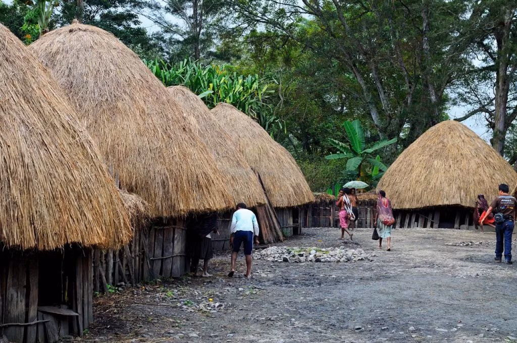 Người Dani sống trong những túp lều tròn gọi là “honai”, được làm từ lá cây và thân gỗ. Họ duy trì một xã hội nông nghiệp, săn bắt và hái lượm cơ bản với các công cụ làm bằng gỗ, đá và xương. Sinh kế chính của họ là trồng chuối, mía, thuốc lá và chăn nuôi lợn.(Ảnh:Hello Indonesia)