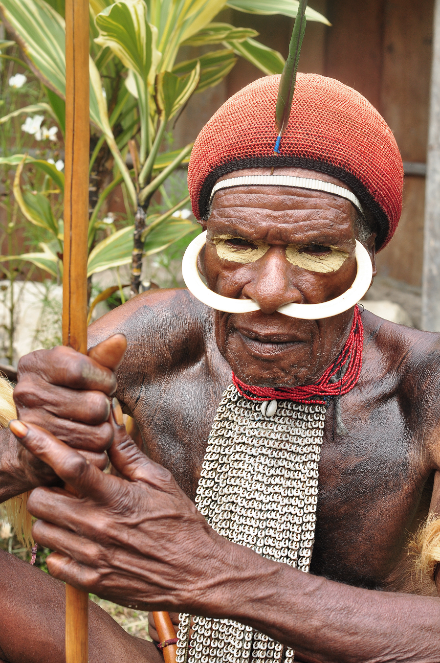 Người Dani giao thương với các bộ tộc xung quanh thông qua các mặt hàng như đá để làm rìu, gỗ, sợi, da động vật và lông chim. Các tổ chức cộng đồng trong bộ tộc được xác định bởi các mối quan hệ gia đình và lãnh thổ, với một tù trưởng lãnh đạo gọi là Ap Kain.(Ảnh:Wikipedia)