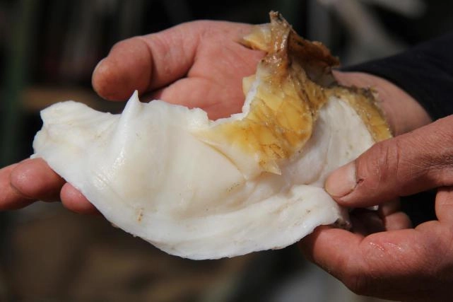 Tuy nhiên, do số lượng hạn chế và sự khan hiếm, nó không thể đáp ứng được nhu cầu rộng rãi của người tiêu dùng.(Ảnh: CafeF)