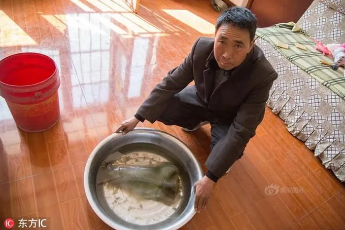 Một công nhân ở Trung Quốc, trong khi làm việc trên công trường tại Thượng Hải, vô tình giẫm phải một vật thể lạ.