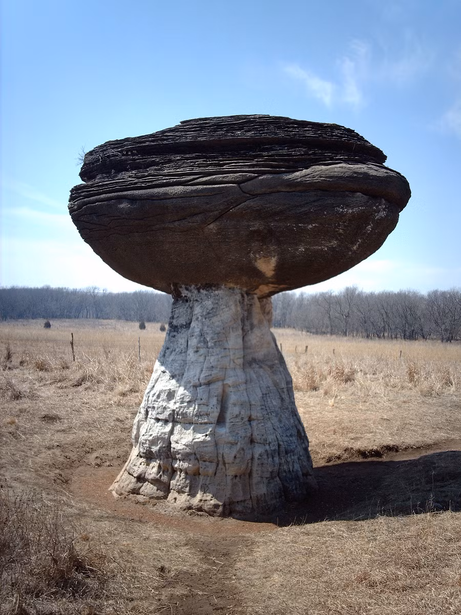 3. Tảng đá Mushrooms - Ai Cập: Giữa sa mạc cát trắng ở Ai Cập, tảng đá Mushrooms nổi bật với hình dạng giống như những chiếc nấm khổng lồ. Những tảng đá này đã được tạo ra qua hàng nghìn năm bị gió sa mạc bào mòn, tạo thành những chân đá mỏng và đầu đá rộng, trông giống như những chiếc nấm đứng cô độc giữa sa mạc bao la. (Ảnh:Wikipedia)