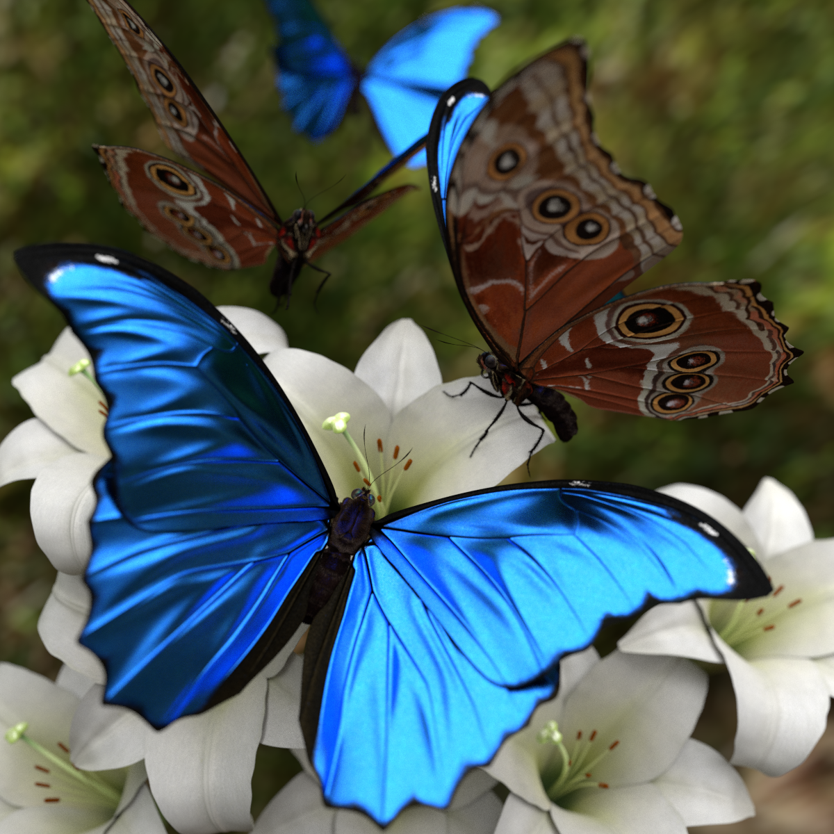 4. Bướm Morpho (Morpho Butterfly): Bướm Morpho, đặc biệt là loài Morpho menelaus, được biết đến với đôi cánh xanh lam sáng chói. Màu sắc này là do cấu trúc siêu nhỏ trên cánh tạo ra hiện tượng nhiễu xạ ánh sáng, khiến chúng lấp lánh như ngọc trai khi bay trong ánh sáng mặt trời.(Ảnh: Blender Market)