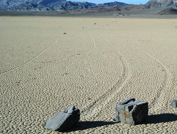 Cho đến năm 2011, một nhóm các nhà nghiên cứu tại Đại học San Diego quyết định thực hiện nghiên cứu khoa học với quy mô chưa từng có trước đó, để tìm kiếm câu trả lời cho điều bí ẩn này