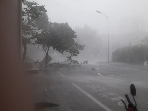 Theo thống kê ban đầu, các vùng thiệt hại nặng do bão số 5 tập trung ở các huyện ven biển như: Phong Điền, Quảng Điền, Phú Vang, Phú Lộc, thị xã Hương Trà, thị xã Hương Thủy và TP.Huế.