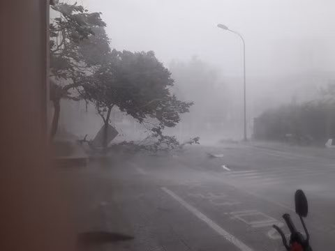 Theo thống kê ban đầu, các vùng thiệt hại nặng do bão số 5 tập trung ở các huyện ven biển như: Phong Điền, Quảng Điền, Phú Vang, Phú Lộc, thị xã Hương Trà, thị xã Hương Thủy và TP.Huế.