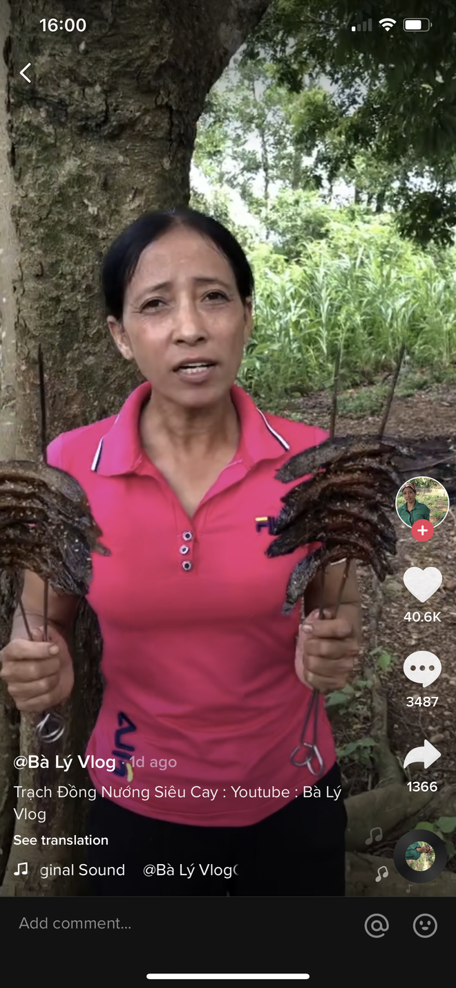 Bà Lý Vlog thu hút sự chú ý của cư dân mạng nhờ “sao chép” nguyên văn câu chào của Bà Tân Vlog: “Bà chào tất cả các cháu đã quay trở lại với kênh YouTube của Bà Lý Vlog. Các cháu ơi, hôm nay bà lại làm clip…”. Không những thế, Bà Lý Vlog còn bị dân tình nhận xét là cố tình “bắt chước” cách nói "trại" chữ clip thành "gờ líp" của bà Tân nhưng lại mang nghĩa phản cảm.