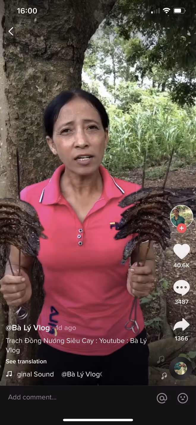 Bà Lý Vlog thu hút sự chú ý của cư dân mạng nhờ “sao chép” nguyên văn câu chào của Bà Tân Vlog: “Bà chào tất cả các cháu đã quay trở lại với kênh YouTube của Bà Lý Vlog. Các cháu ơi, hôm nay bà lại làm clip…”. Không những thế, Bà Lý Vlog còn bị dân tình nhận xét là cố tình “bắt chước” cách nói "trại" chữ clip thành "gờ líp" của bà Tân nhưng lại mang nghĩa phản cảm.