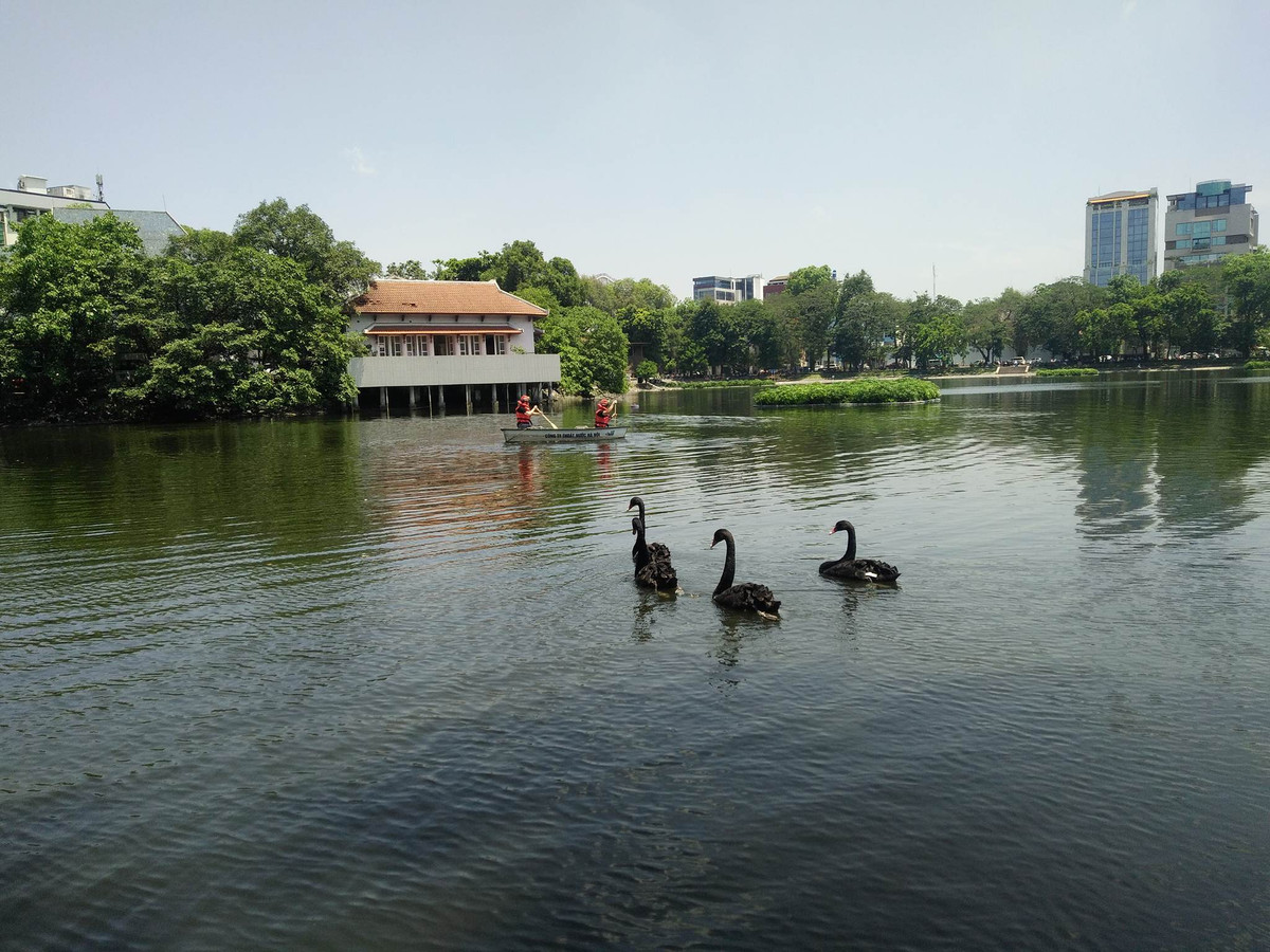 Phat hien thi the nguoi dan ong duoi ho Thien Quang, Ha Noi-Hinh-5